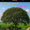 user46200299514337