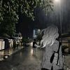 anggun.lestari0716