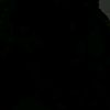 bunny.mohet0