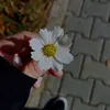 fatima.altee