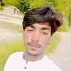 malik.shab4281