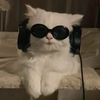 user8594208101382
