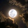 _bulan5436