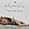 mubbashir.rajput7