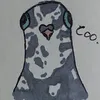 pigeon6709