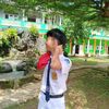 rexxitedd