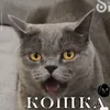rimaslisickij4