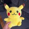 vlada_8788