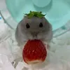 princepjprincessl
