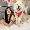 evee2848