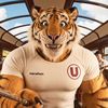 Tigre Crema