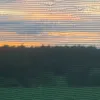 bajule46