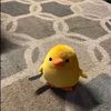 bro_2178