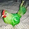 nvmasidebil
