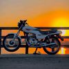mohamedanwer5186