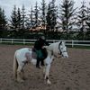 rugile_eq2