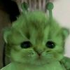 hasna.salsabila424