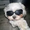 lexie.bone3