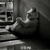 menna_alaa41