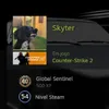 Skyter