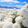user55073003918827