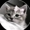 emanuelly_388