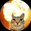 the_nucleat_cat