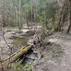 john_17281