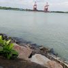 panca.tunggal67