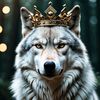 wolfking804king