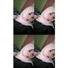 lilaaee_04