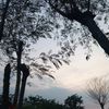 akun_kelas6sd