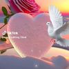 user973245381097hkjh