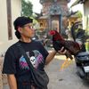 dek.nokk