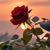 dipesh.gupta042