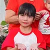 handaumat