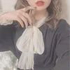 sy_sy038