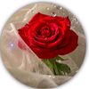 arshad.khan.yousu