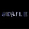senile8521