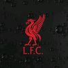 mr.liverpool10