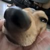 charl0tt3_3017