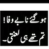 sajid.lashari.las