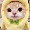 mira_aww_