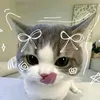 soo_sh1