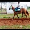natalezcano0