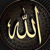 fares.maher31
