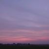 aurauran80