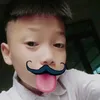 lam08881