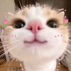 studyqurro_