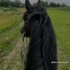 ajaj72908